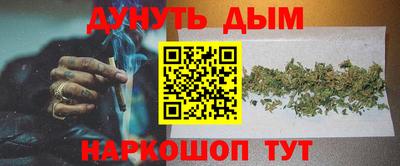 гашик Брянск