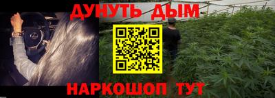 гашик Брянск