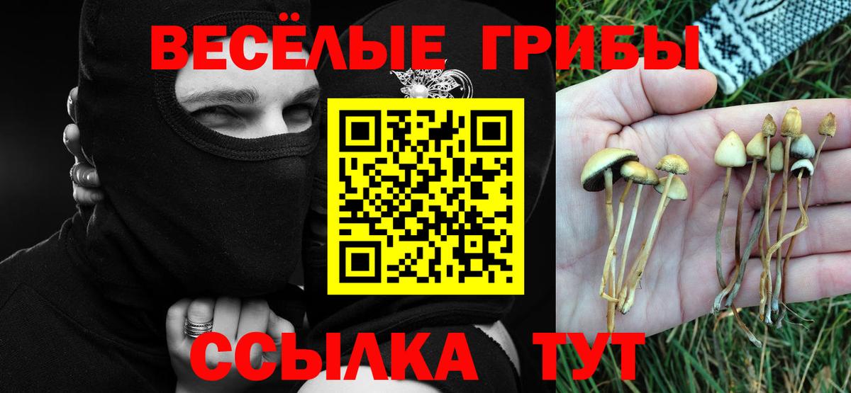 Боровичи  Псилоцибиновые грибы Cubensis  Галлюциногенные грибы ЛСД  Вход с VPN 