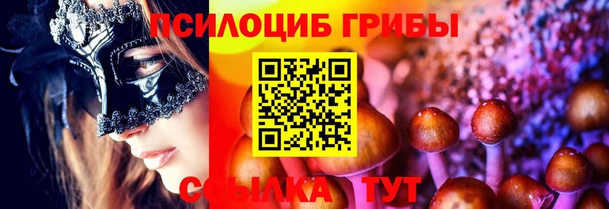 Псилоцибиновые грибы мицелий Боровичи