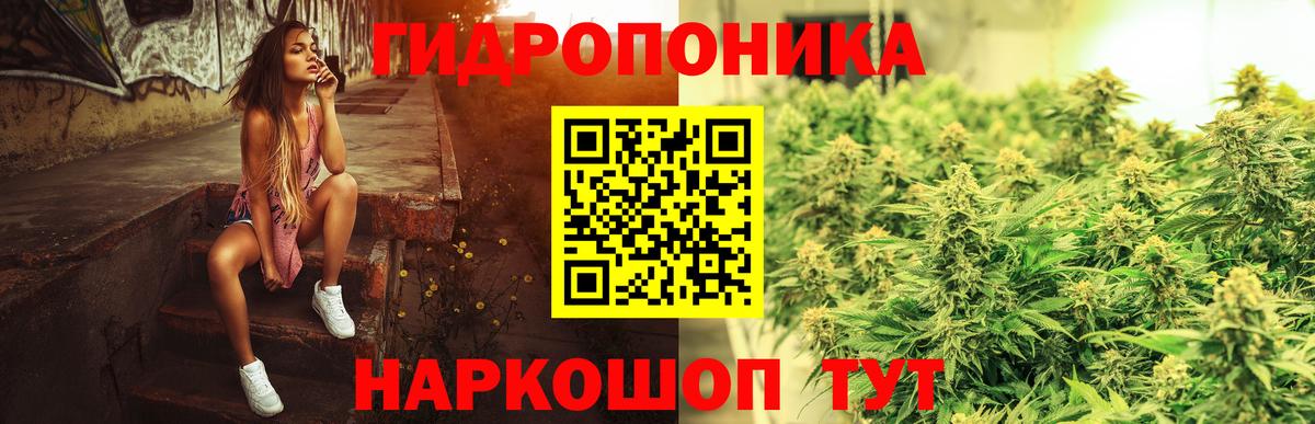 Бошки Шишки индика Боровичи